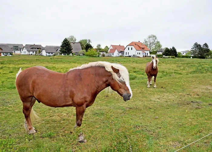 Alloggio in famiglia Plogshagen_hiddens